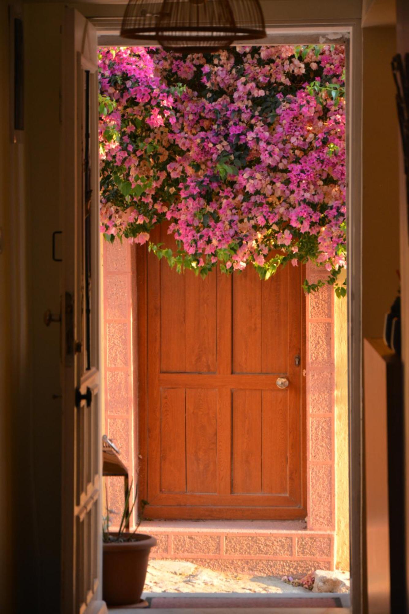 Homestay Gaja Ayvalik