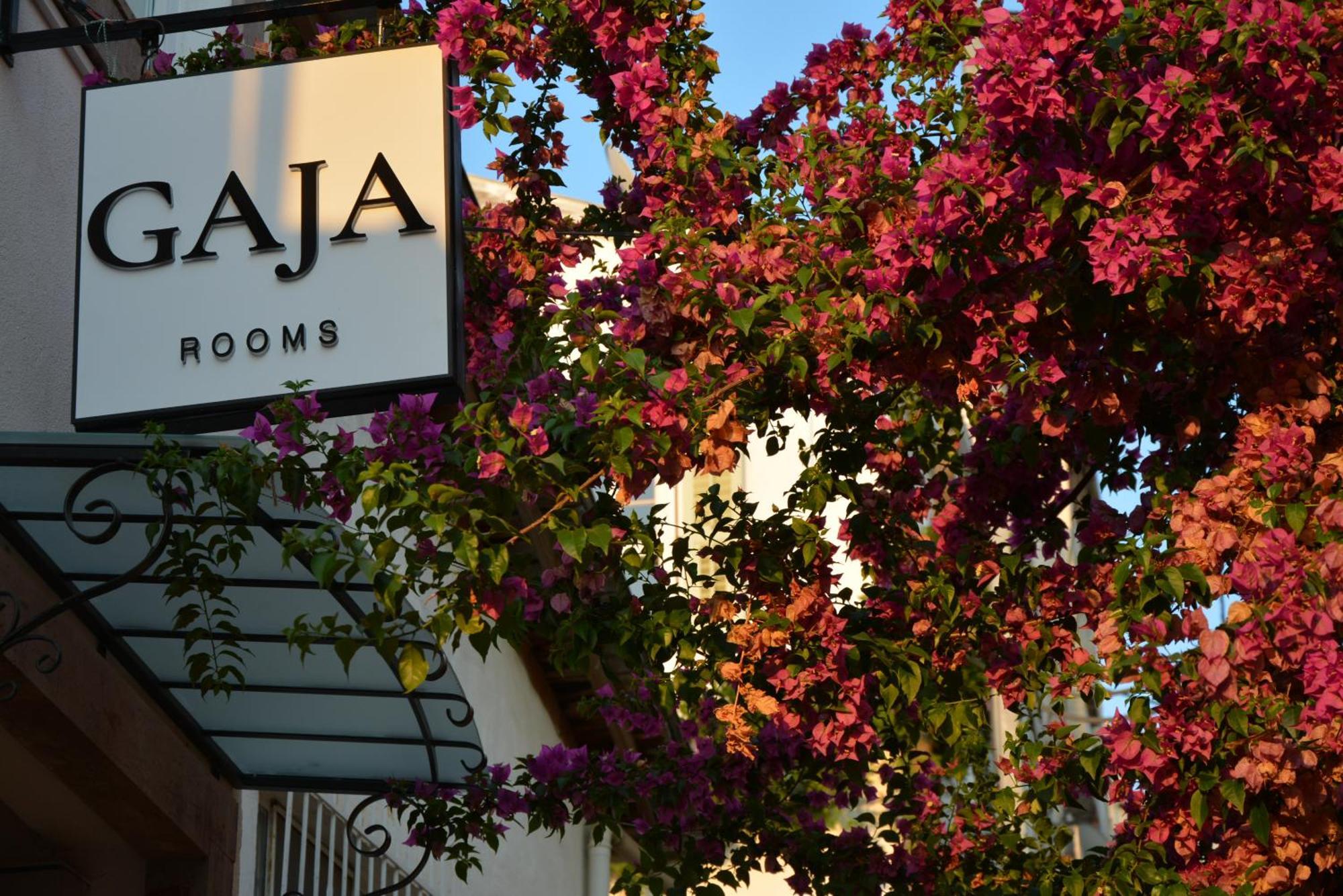 Homestay Gaja Ayvalik