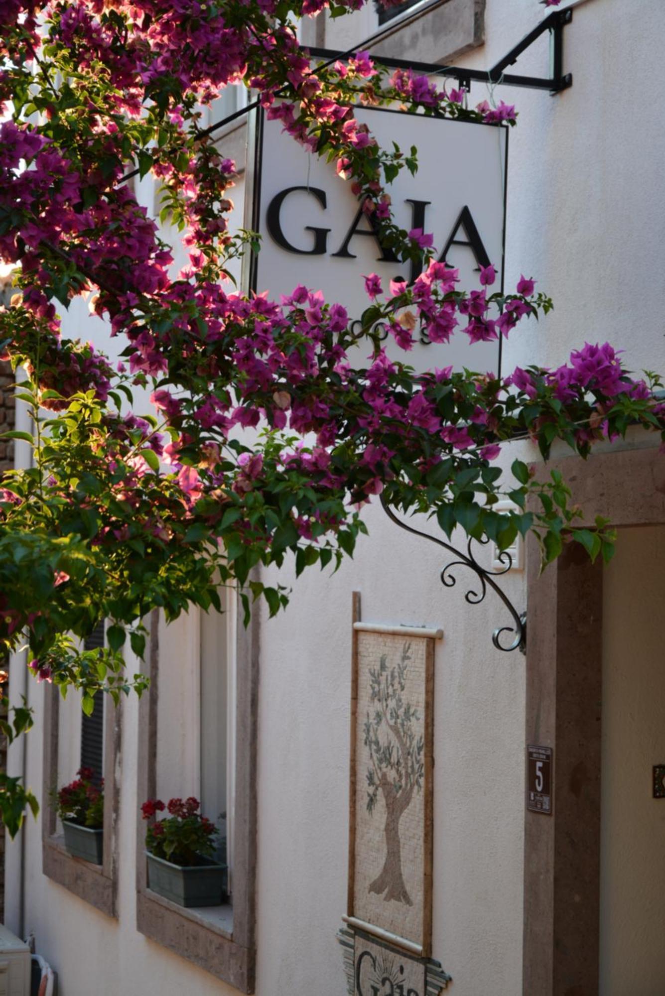 Homestay Gaja