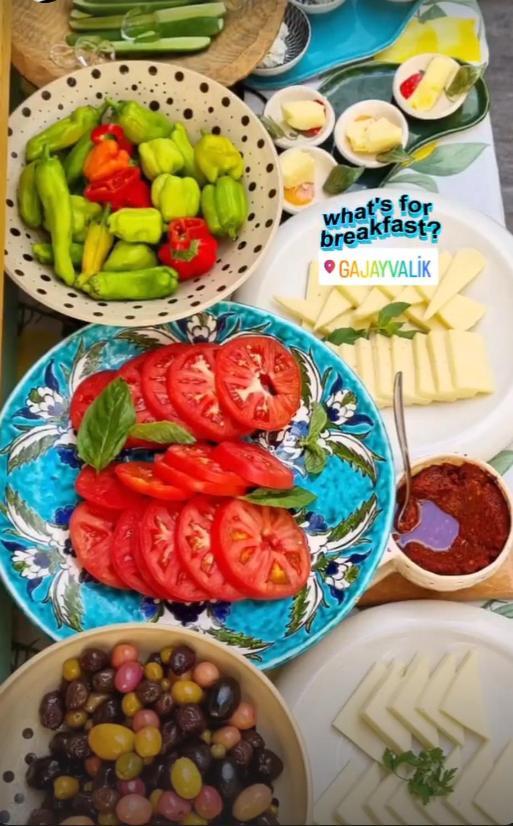 Gaja Ayvalı